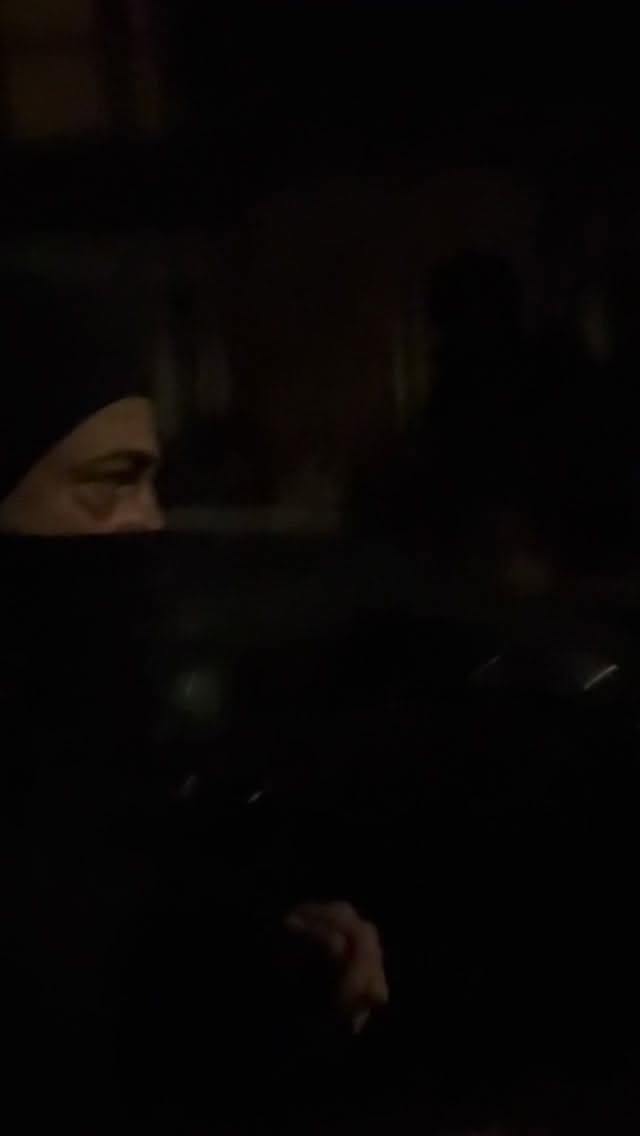 Post 2 by Andrea_blueHybrid on Instagram (video)