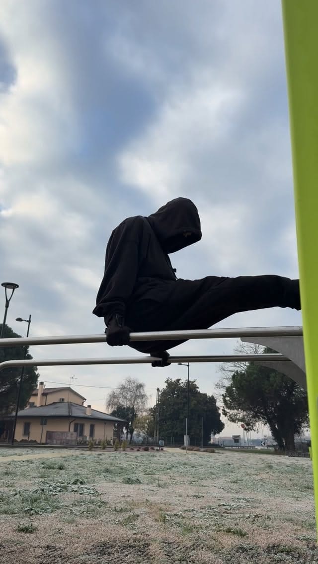 Post 9 by Andrea_blueHybrid on Instagram (video)