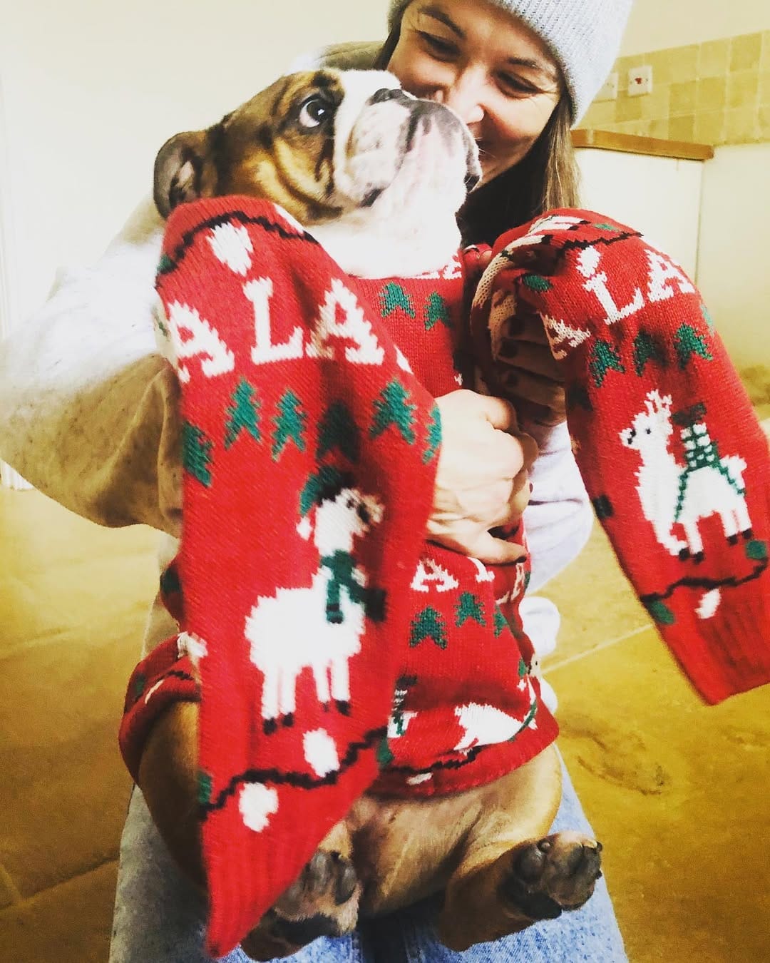 Post 1 by Bulldogdiva on Instagram (image)