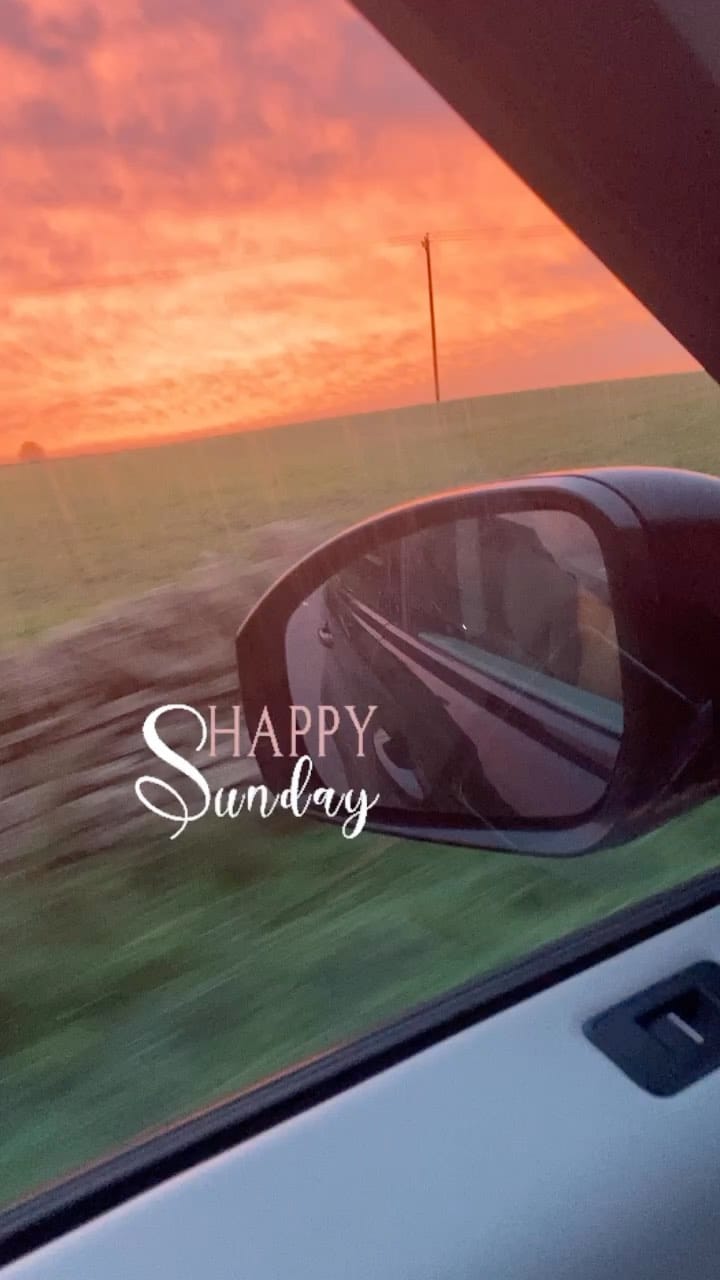 Post 9 by Bulldogdiva on Instagram (video)