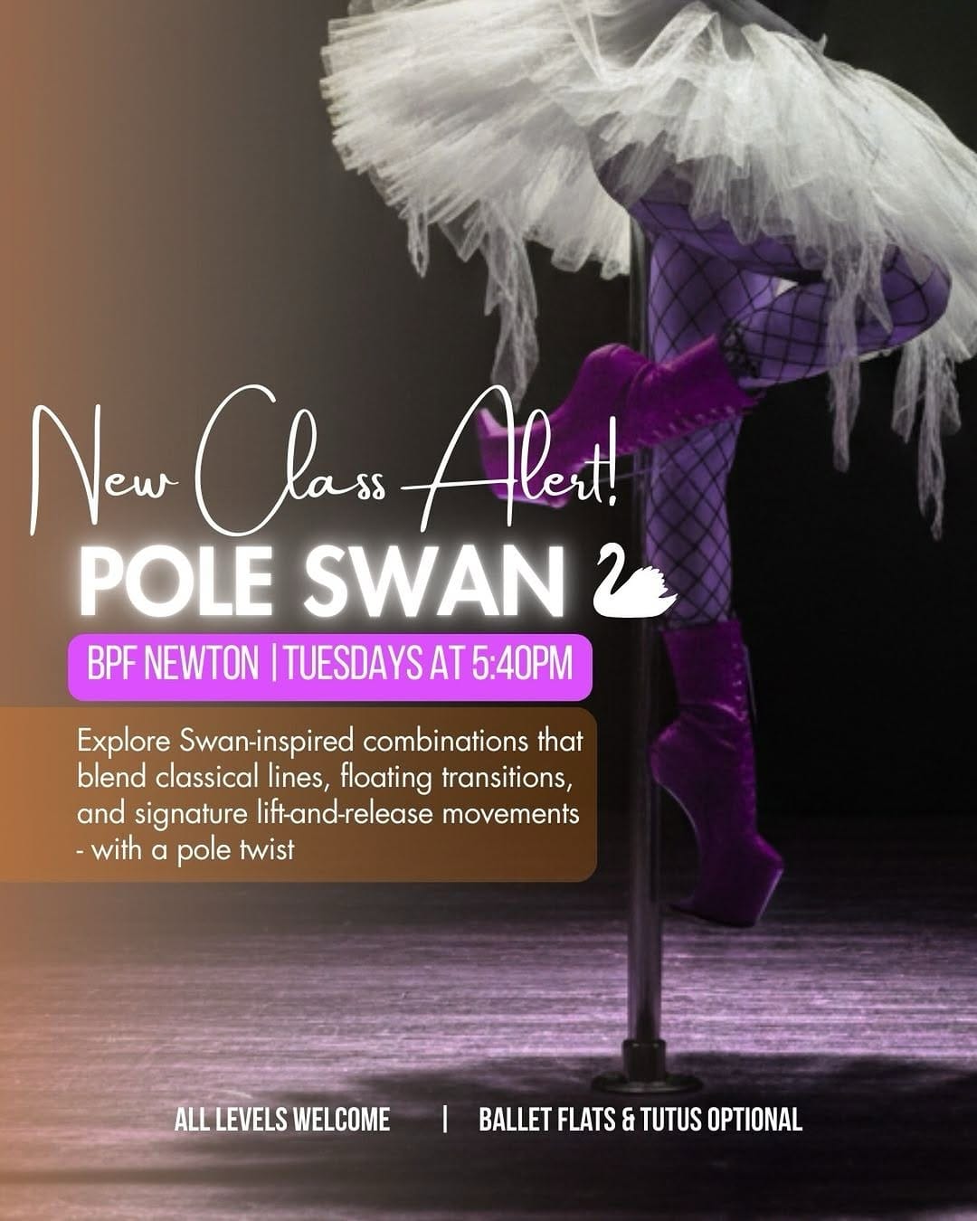 Post 2 by Boston Pole Fitness on Instagram (image)