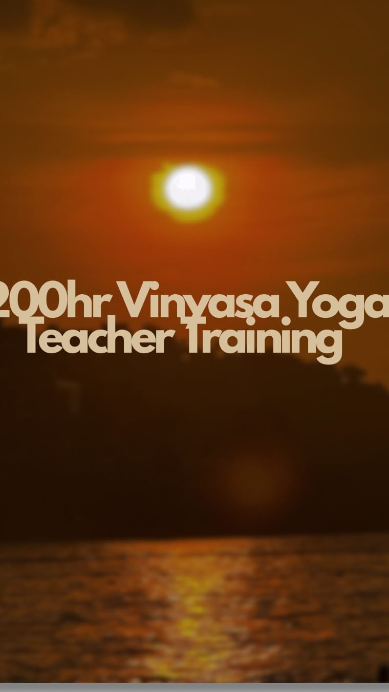 Post 8 by Yoga Studio on Instagram (video)