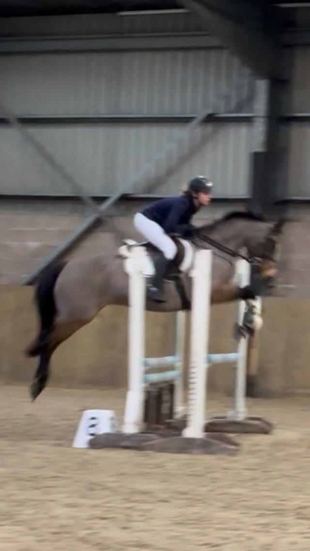 Post 4 by Philippa Allen Eventing on Instagram (video)