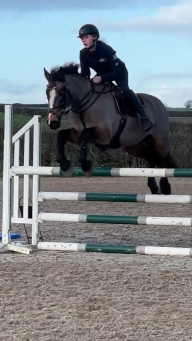 Post 1 by Philippa Allen Eventing on Instagram (video)