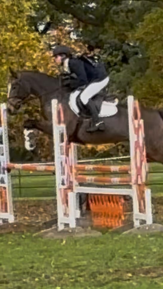 Post 6 by Philippa Allen Eventing on Instagram (video)
