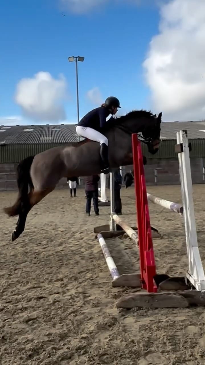 Post 5 by Philippa Allen Eventing on Instagram (video)