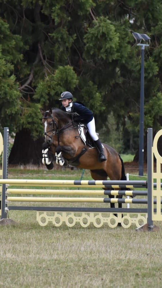 Post 10 by Philippa Allen Eventing on Instagram (video)