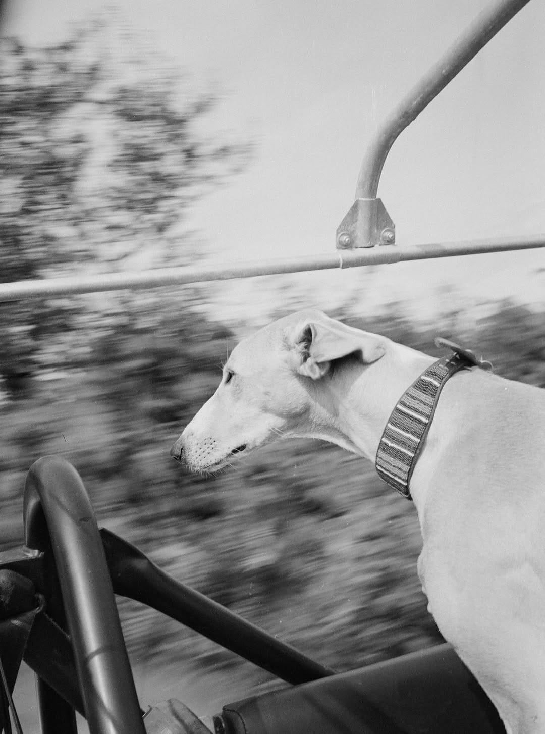 Post 9 by Liz Seabrook on Instagram (carousel)