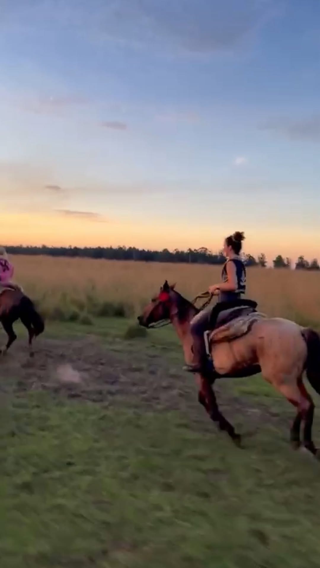 Post 2 by West Coast Wellness on Instagram (video)