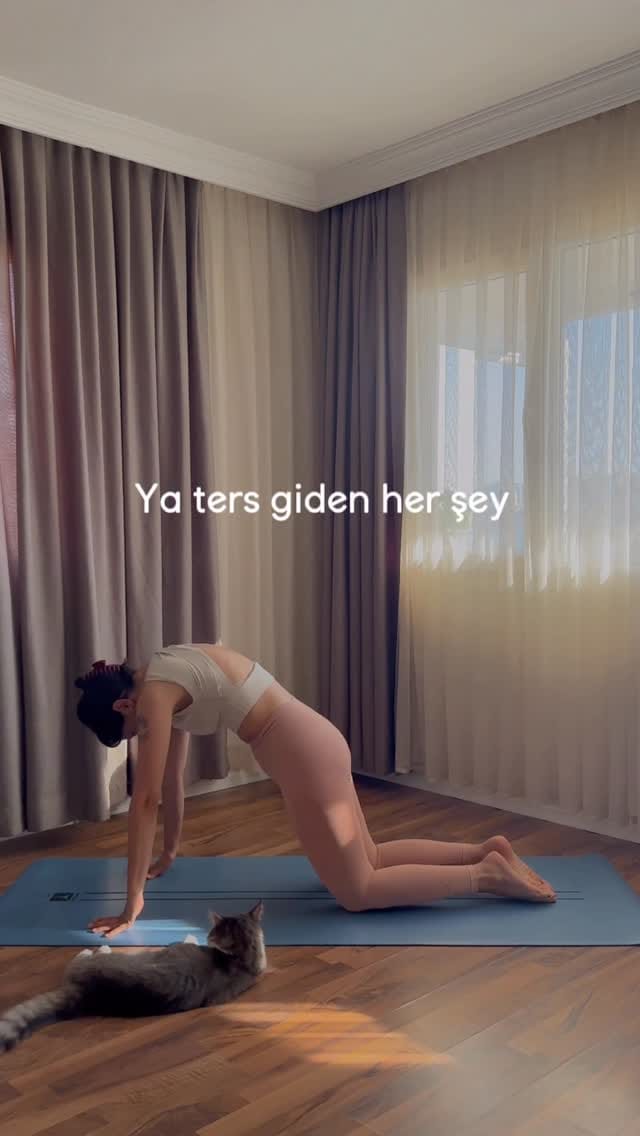Post 6 by Nergis | Yoga Öğretmeni on Instagram (video)