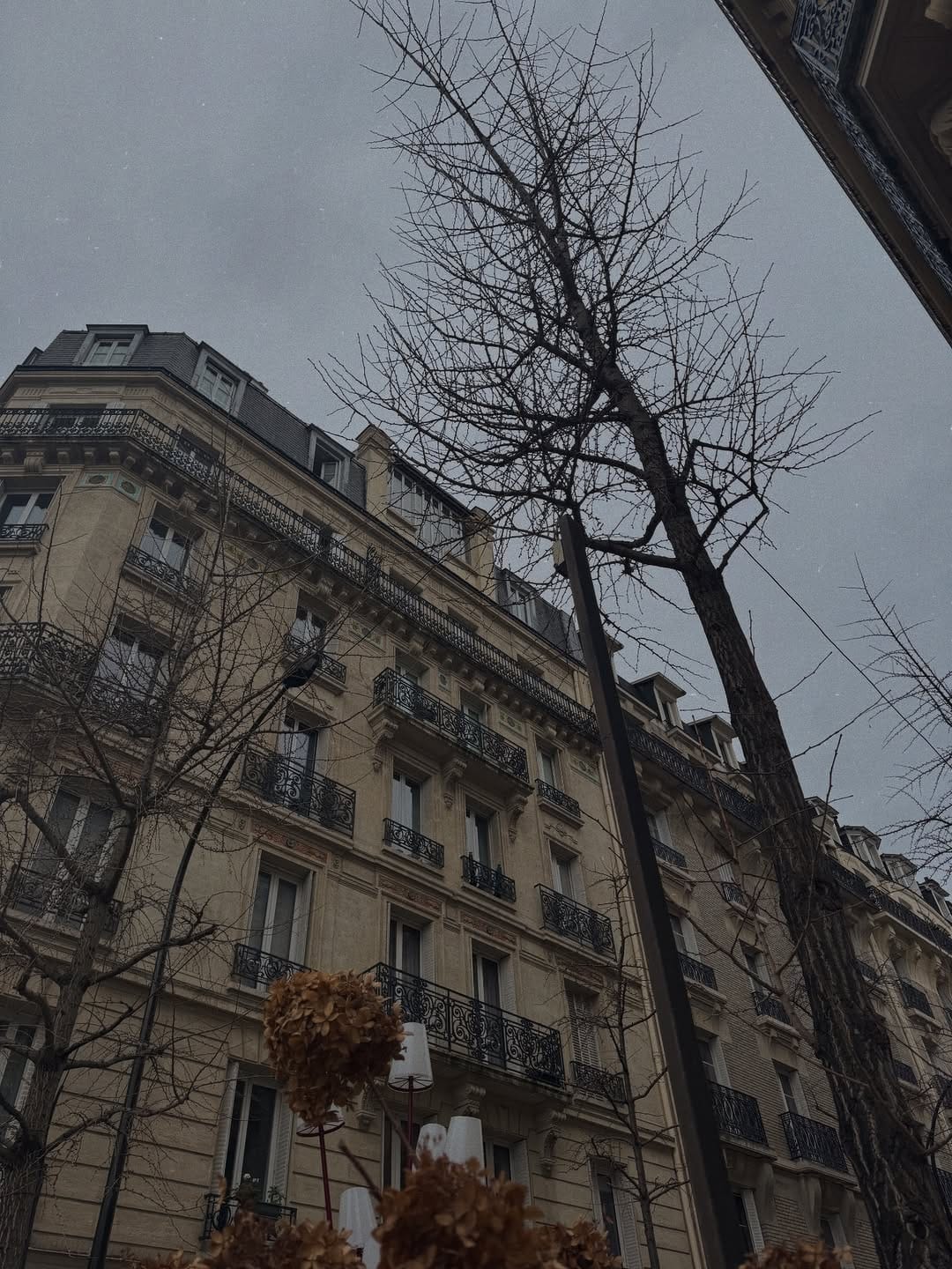 Post 1 by 𝐑𝐞𝐛𝐞𝐜𝐜𝐚 𝐋𝐢𝐥𝐲 𝐌𝐚𝐫𝐢𝐚𝐧𝐚 on Instagram (carousel)