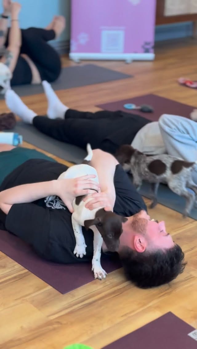 Post 1 by Paws and Breathe UK - Animal Therapy on Instagram (video)