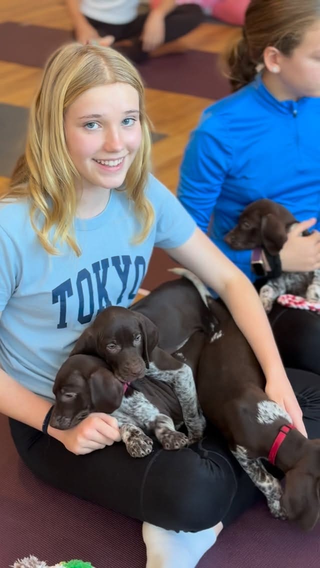 Post 5 by Paws and Breathe UK - Animal Therapy on Instagram (video)