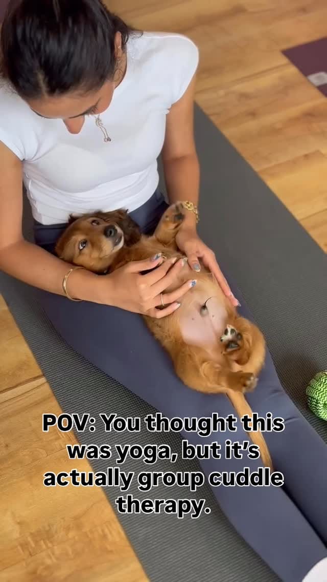 Post 10 by Paws and Breathe UK - Animal Therapy on Instagram (video)