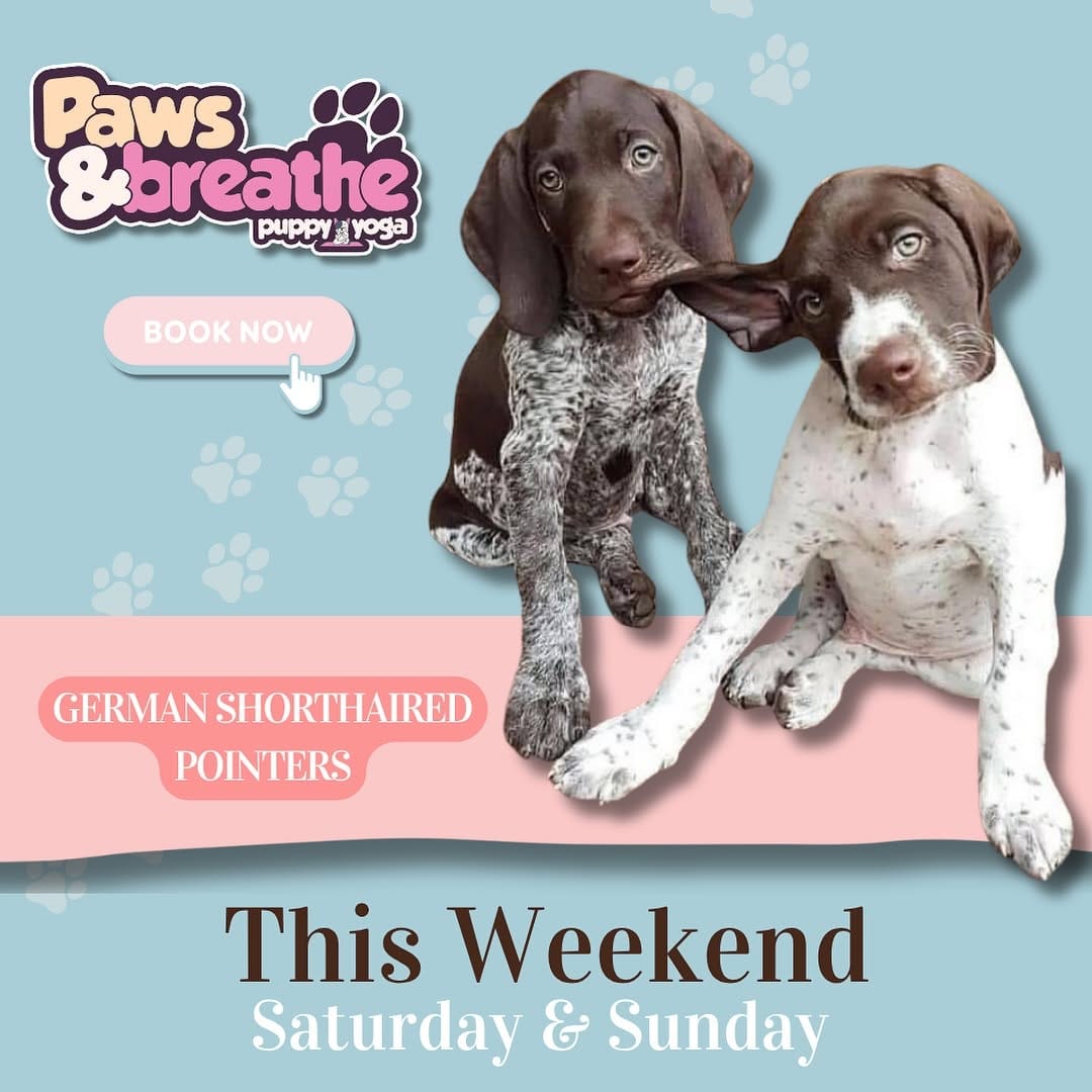 Post 8 by Paws and Breathe UK - Animal Therapy on Instagram (image)