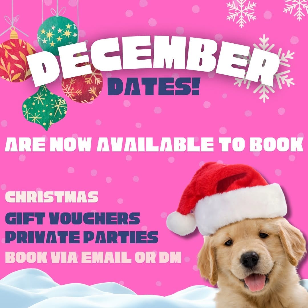 Post 4 by Paws and Breathe UK - Animal Therapy on Instagram (carousel)