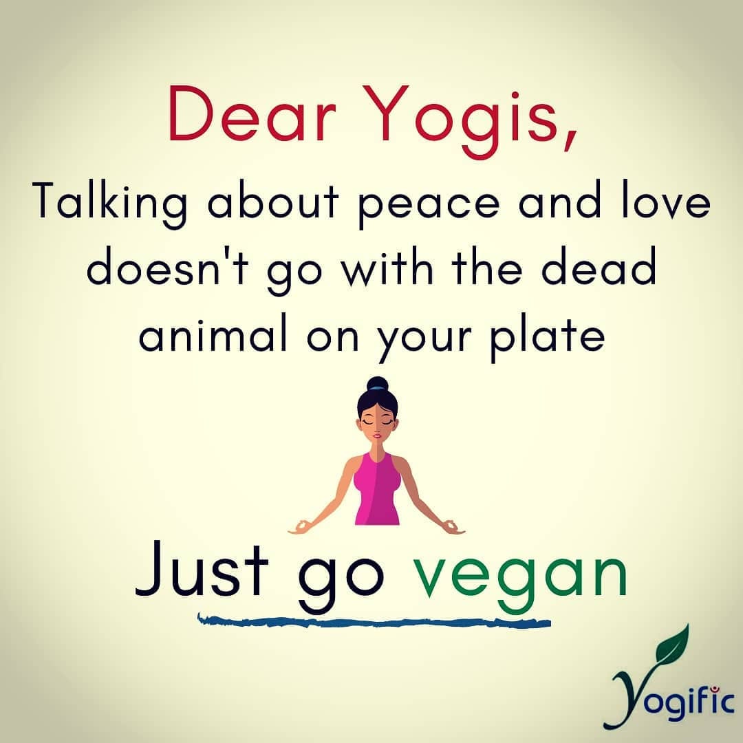 Post 1 by Yogific #VeganYogi on Instagram (image)
