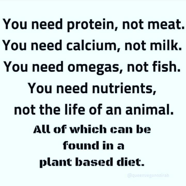 Post 8 by Yogific #VeganYogi on Instagram (image)