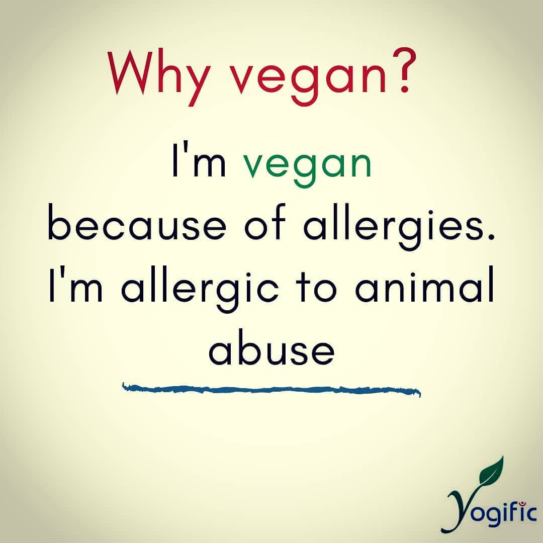 Post 2 by Yogific #VeganYogi on Instagram (image)