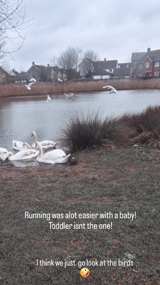 Post 4 by Hilary Rose Thomas on Instagram (video)