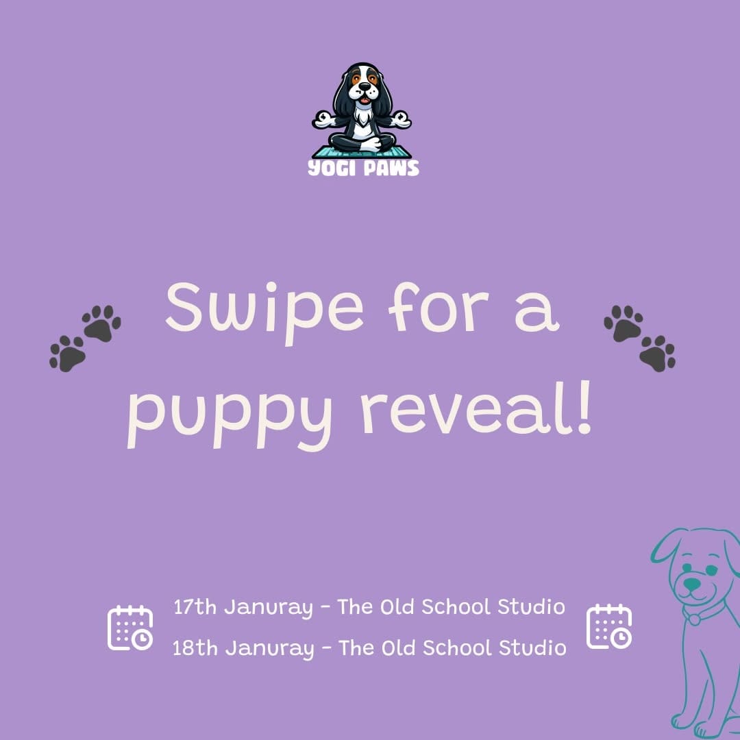 Post 5 by Puppy Yoga - Brighton and Hove on Instagram (carousel)