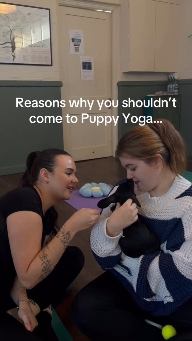 Post 1 by Puppy Yoga - Brighton and Hove on Instagram (video)