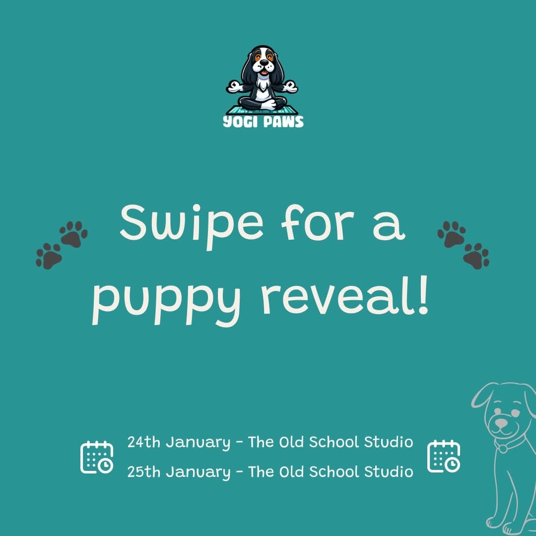 Post 2 by Puppy Yoga - Brighton and Hove on Instagram (carousel)