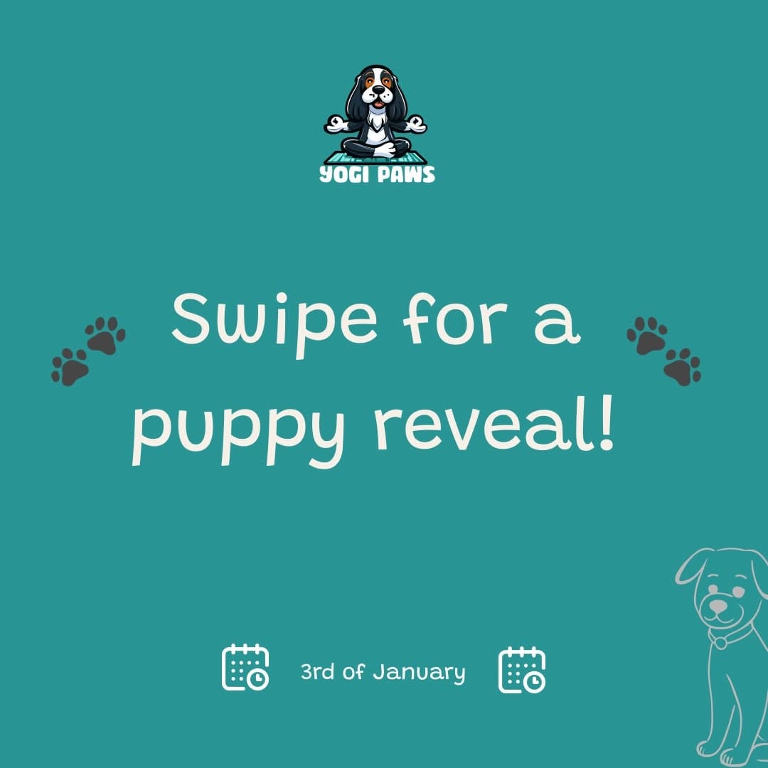 Post 8 by Puppy Yoga - Brighton and Hove on Instagram (carousel)