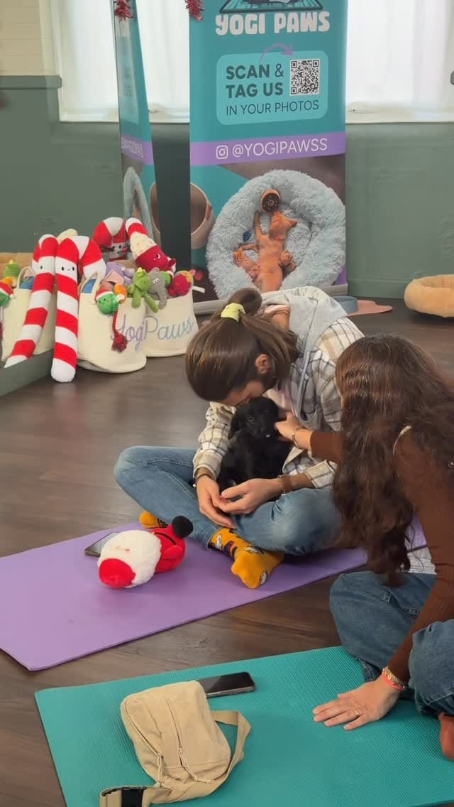 Post 9 by Puppy Yoga - Brighton and Hove on Instagram (video)