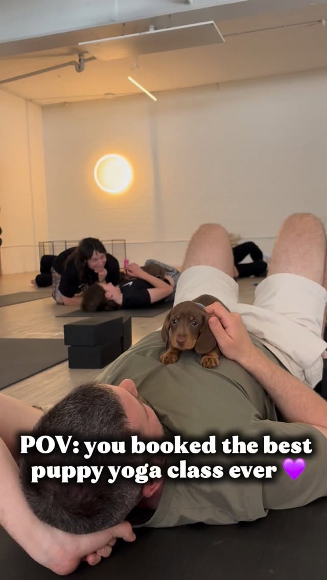 Post 5 by Positiva Puppy Yoga | Australia on Instagram (video)