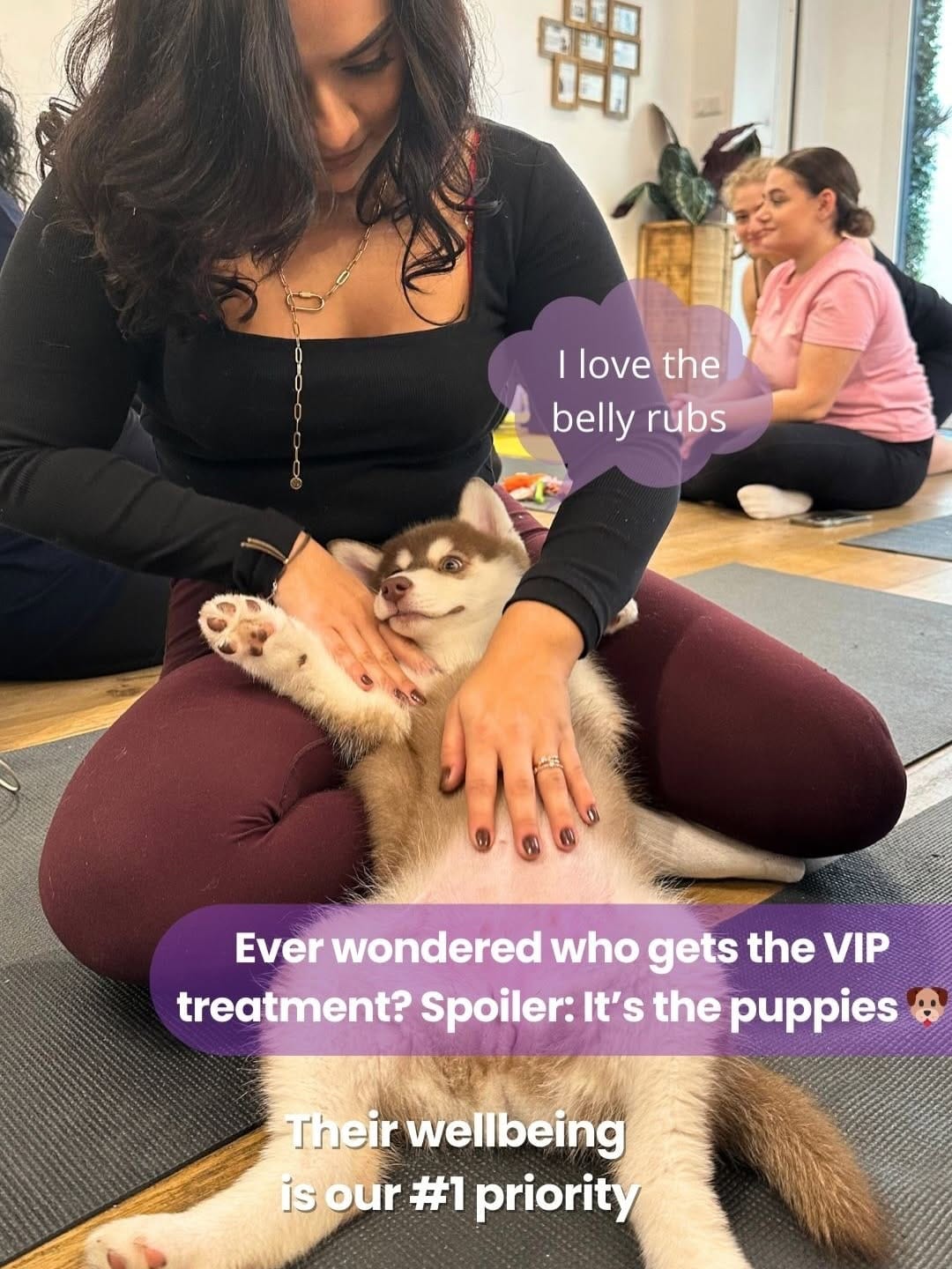 Post 8 by Positiva Puppy Yoga | Australia on Instagram (carousel)