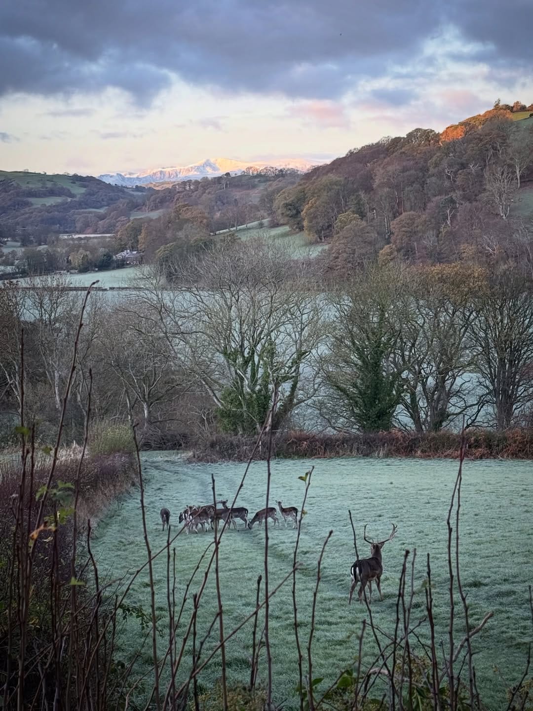 Post 4 by Vivienne Rickman on Instagram (image)