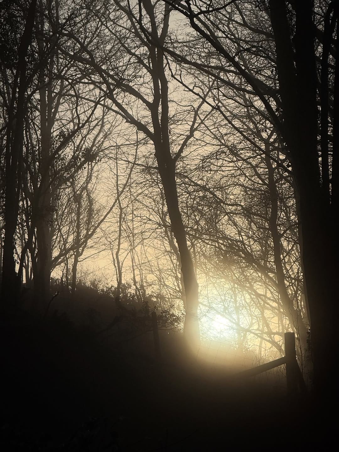 Post 2 by Vivienne Rickman on Instagram (image)