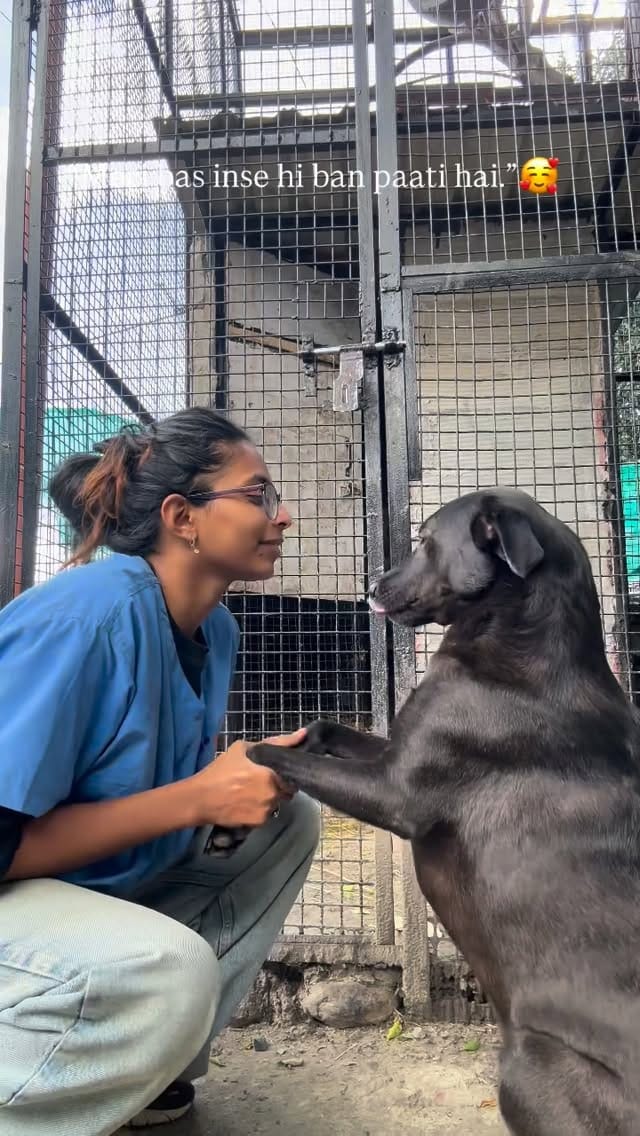 Post 3 by Dr Ankita Shetty on Instagram (video)