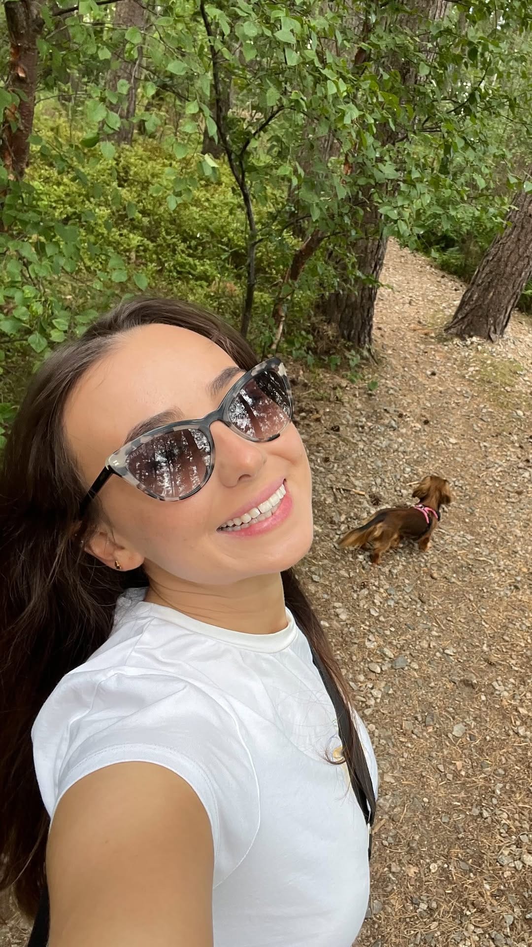 Post 4 by Danielle🌻 on Instagram (video)