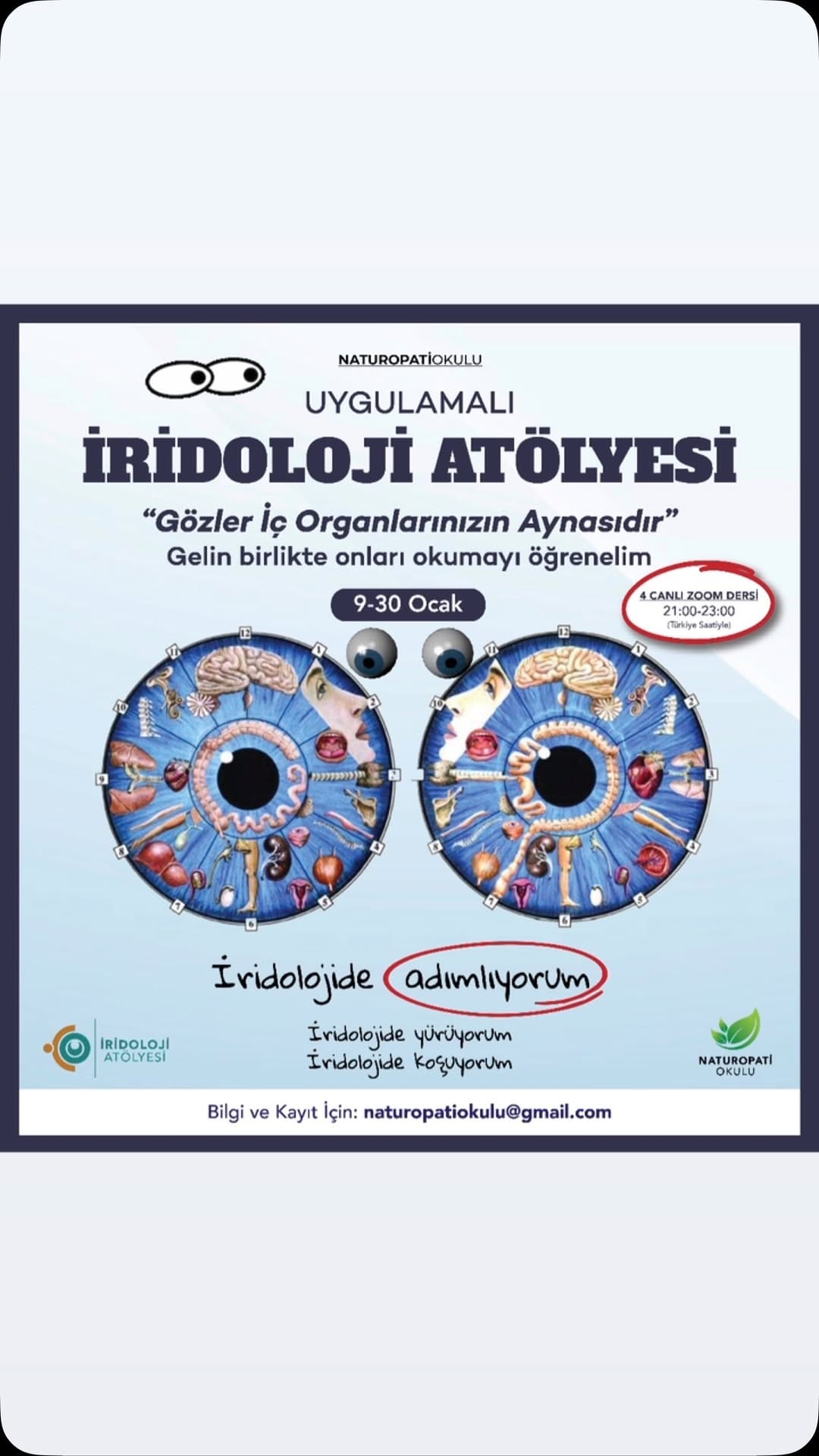 Post 10 by NDr. Ayşe Gul ~ Chamomile Health on Instagram (video)