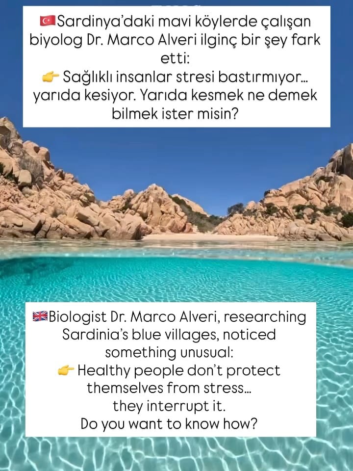 Post 7 by NDr. Ayşe Gul ~ Chamomile Health on Instagram (carousel)