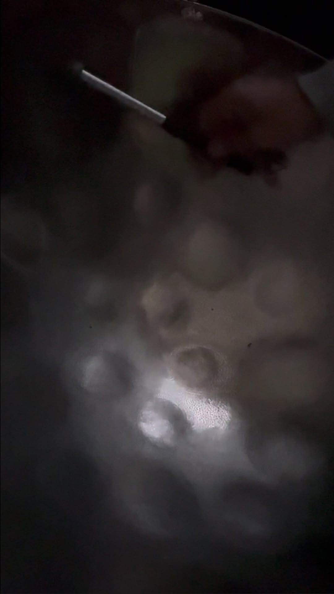 Post 1 by No Shane No Gain on Instagram (video)