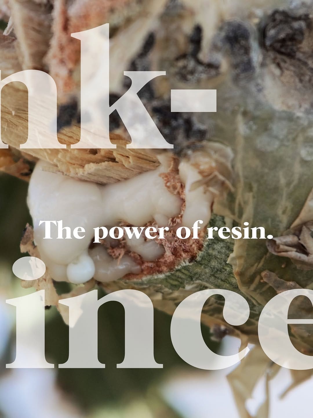 Post 5 by LONDON HEAD SPA | 런던헤드스파 on Instagram (image)