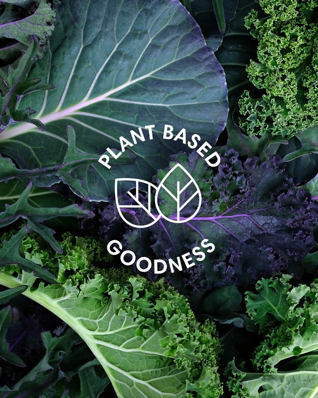 Post 6 by One Nutrition on Instagram (image)
