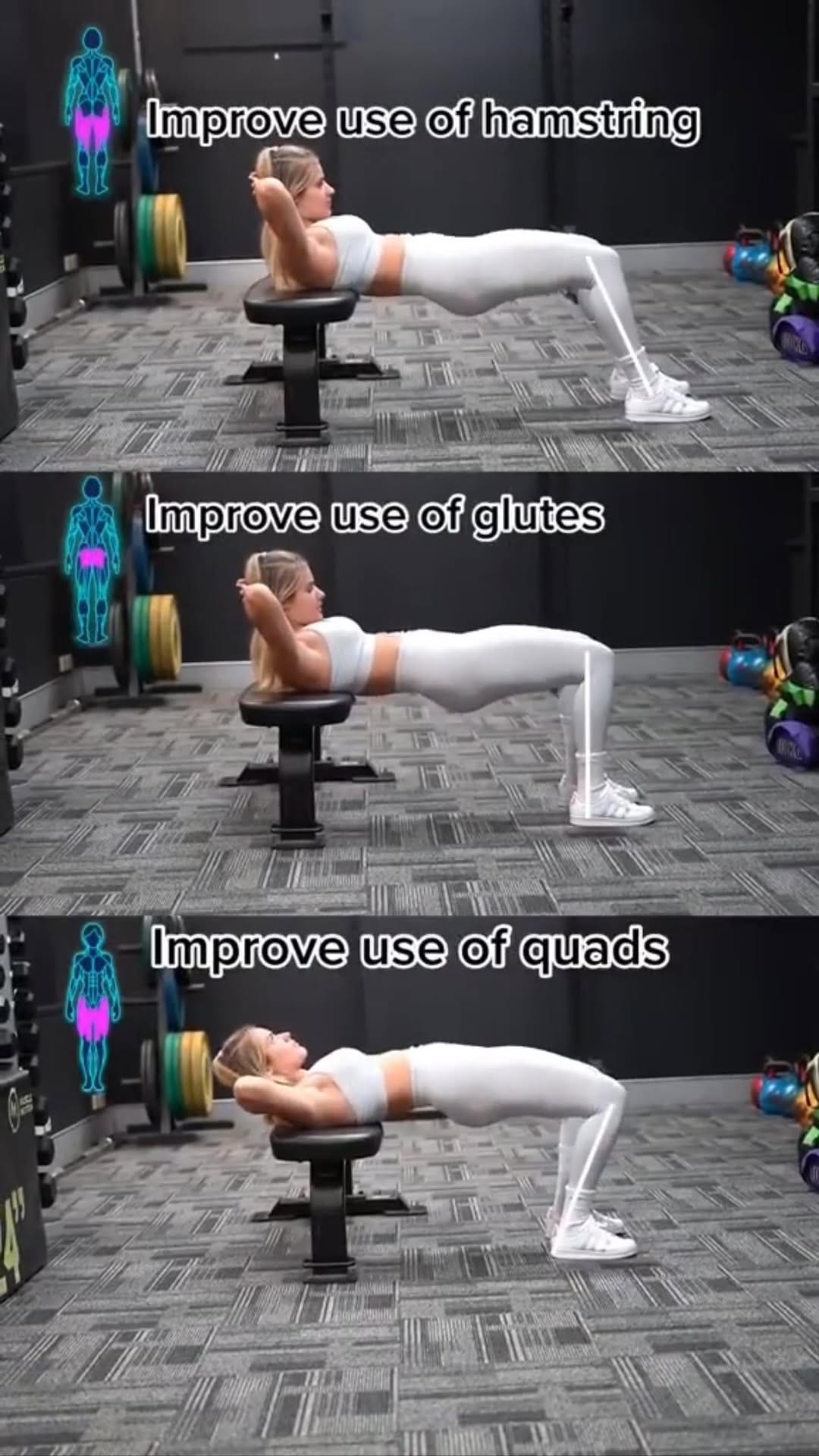 Post 9 by fitgirl on Instagram (video)