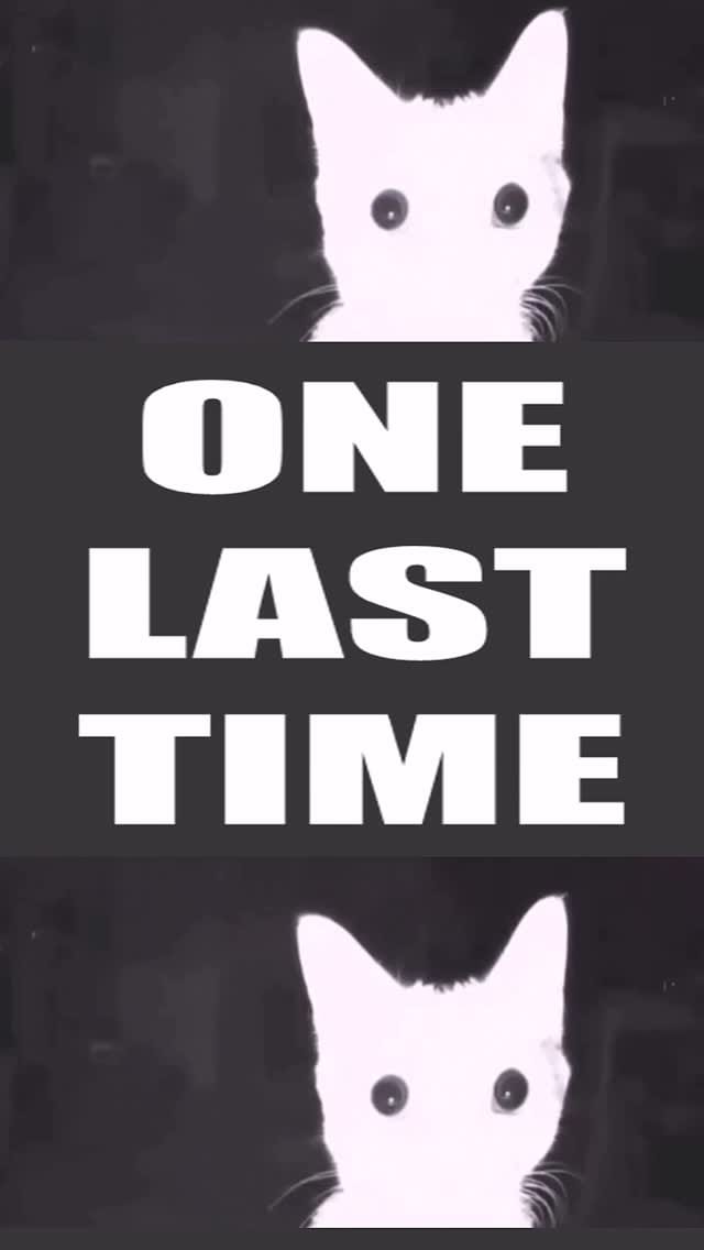 Post 4 by Leo on Instagram (video)