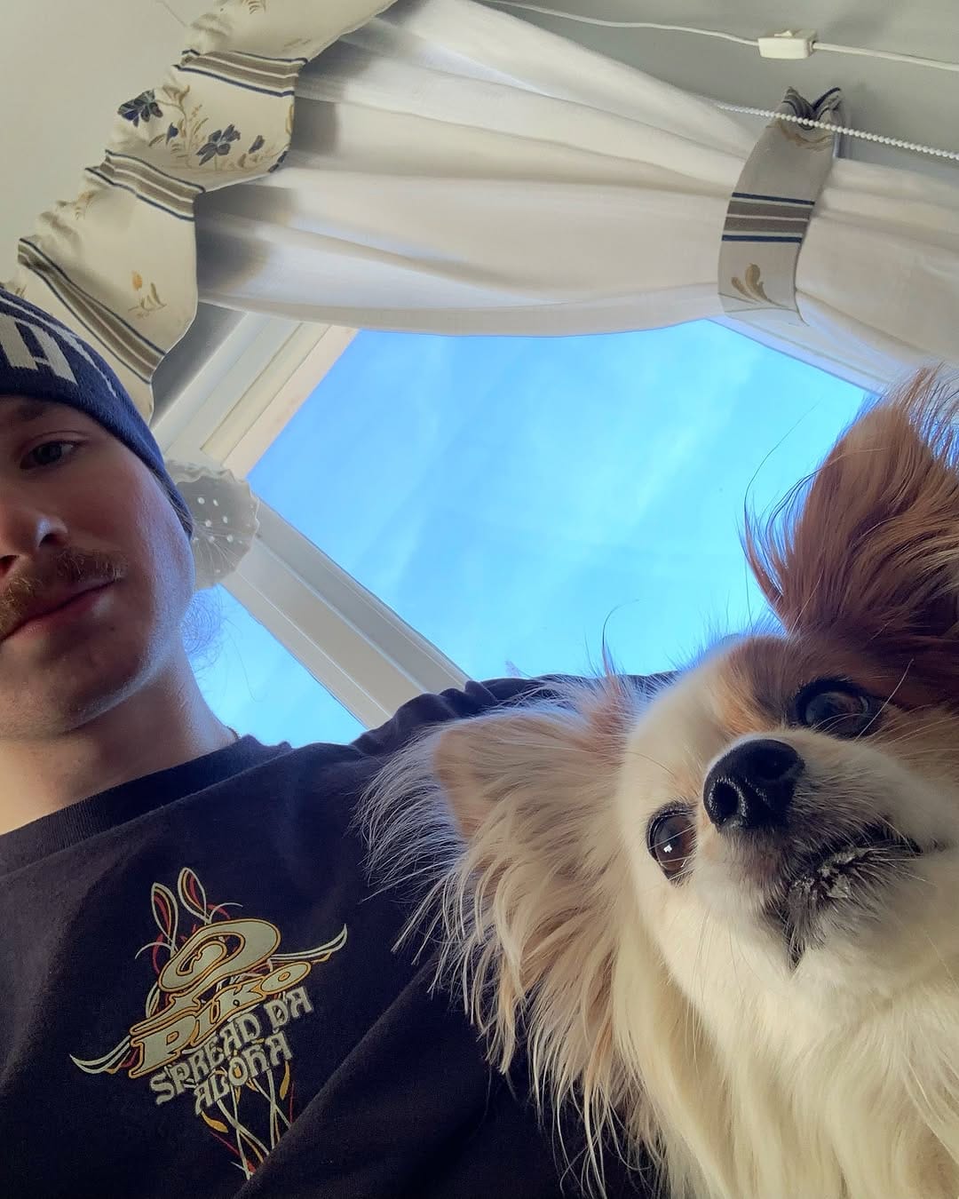 Post 6 by Leo on Instagram (image)