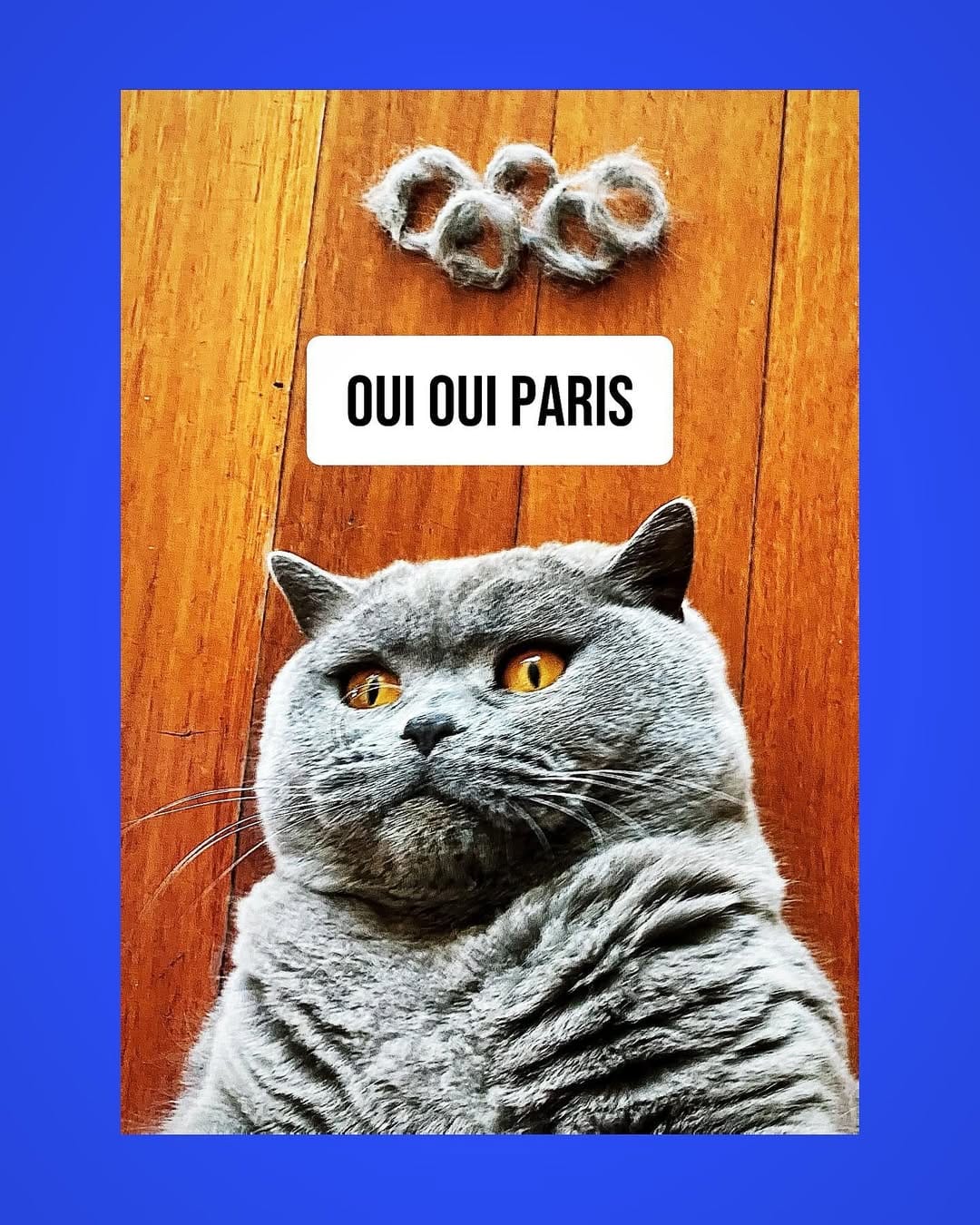 Post 1 by Chelsea on Instagram (image)