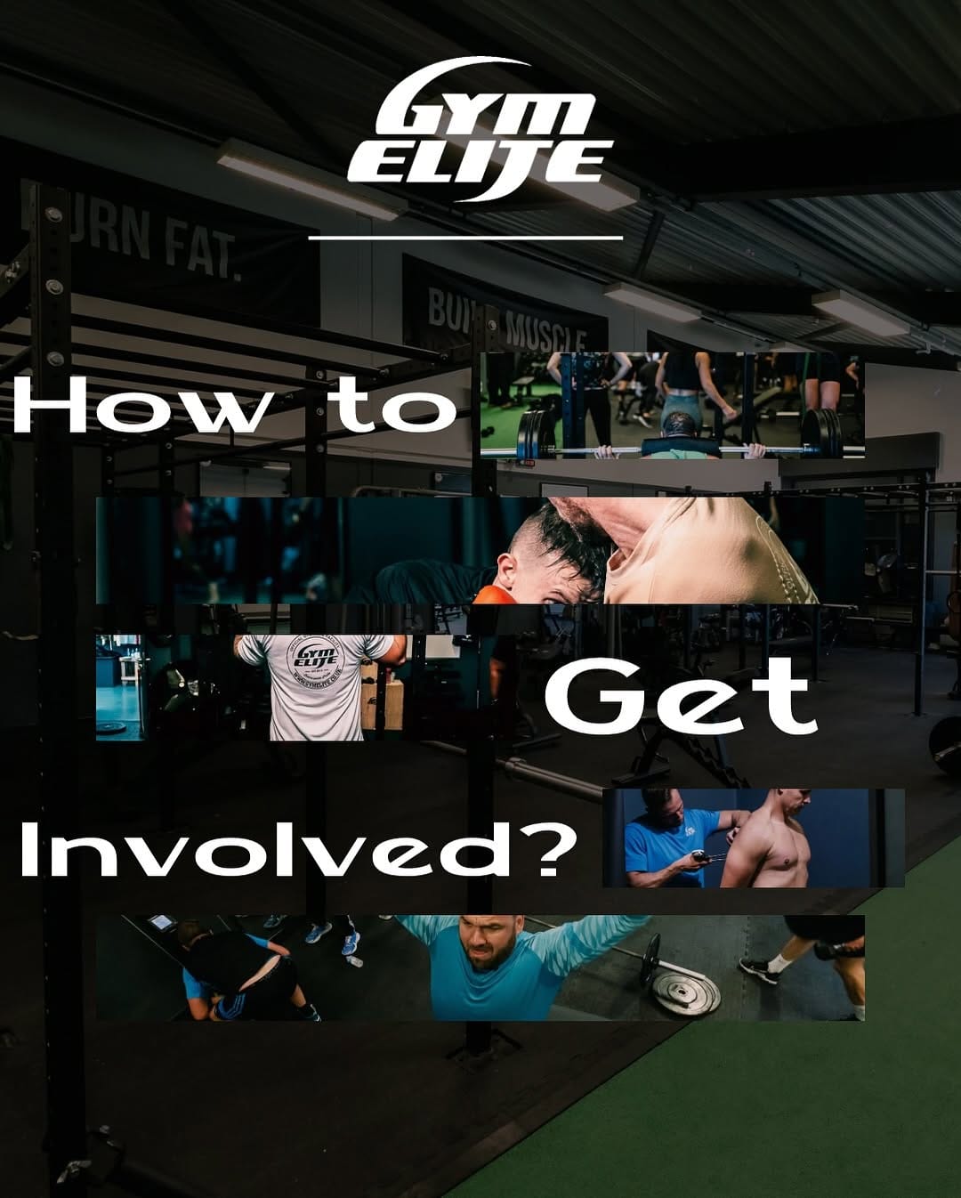 Post 10 by Gym Elite™ on Instagram (carousel)