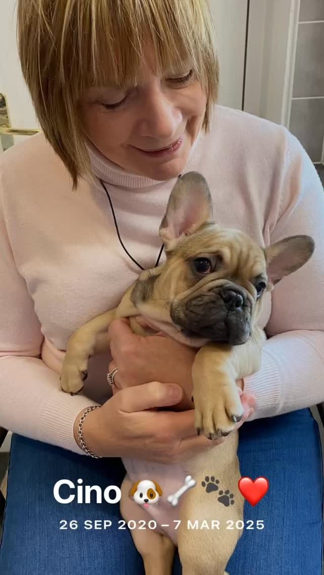 Post 3 by Sarah Anastasia Morrison on Instagram (video)