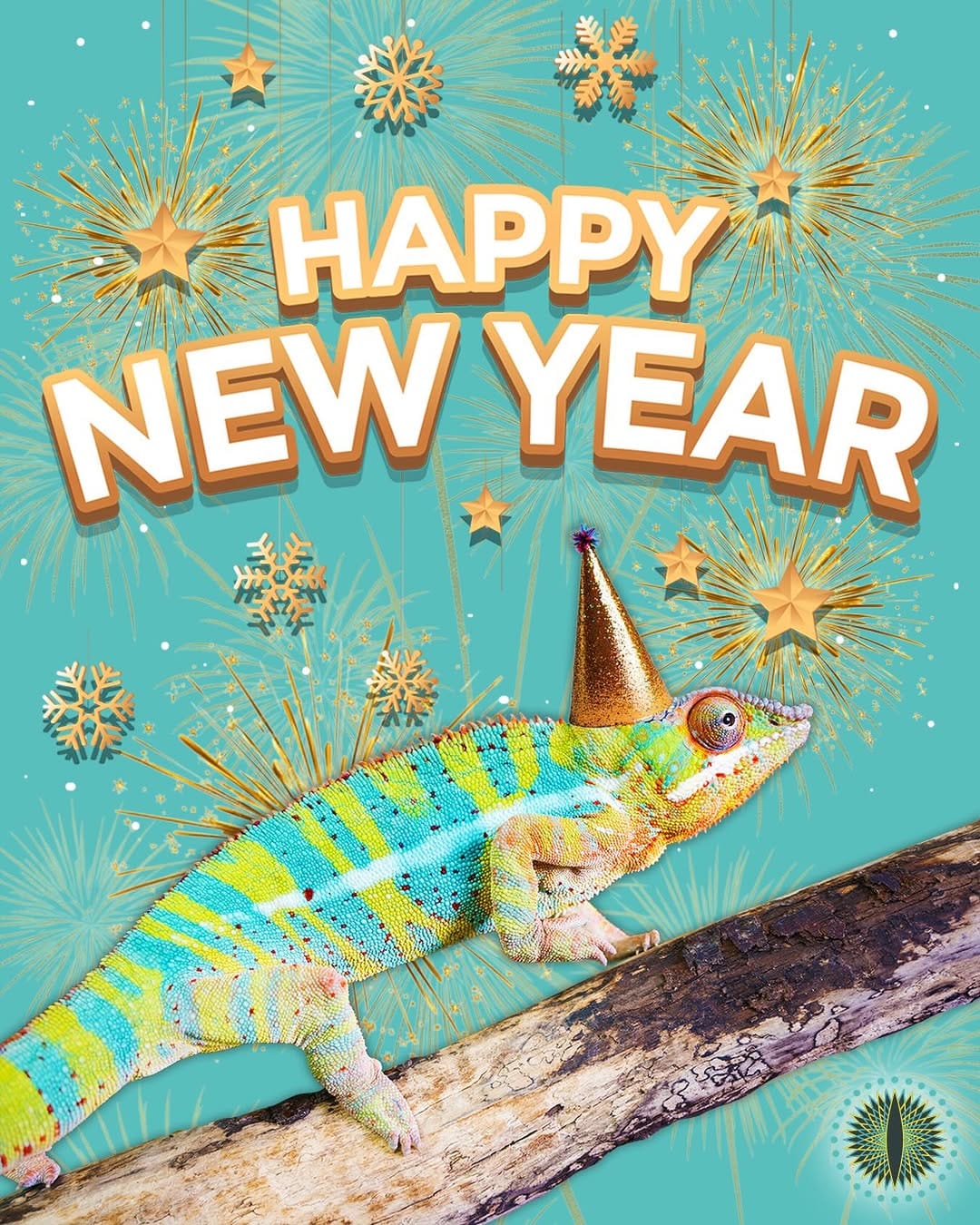 Post 9 by All Reptiles • Reptile Store on Instagram (image)