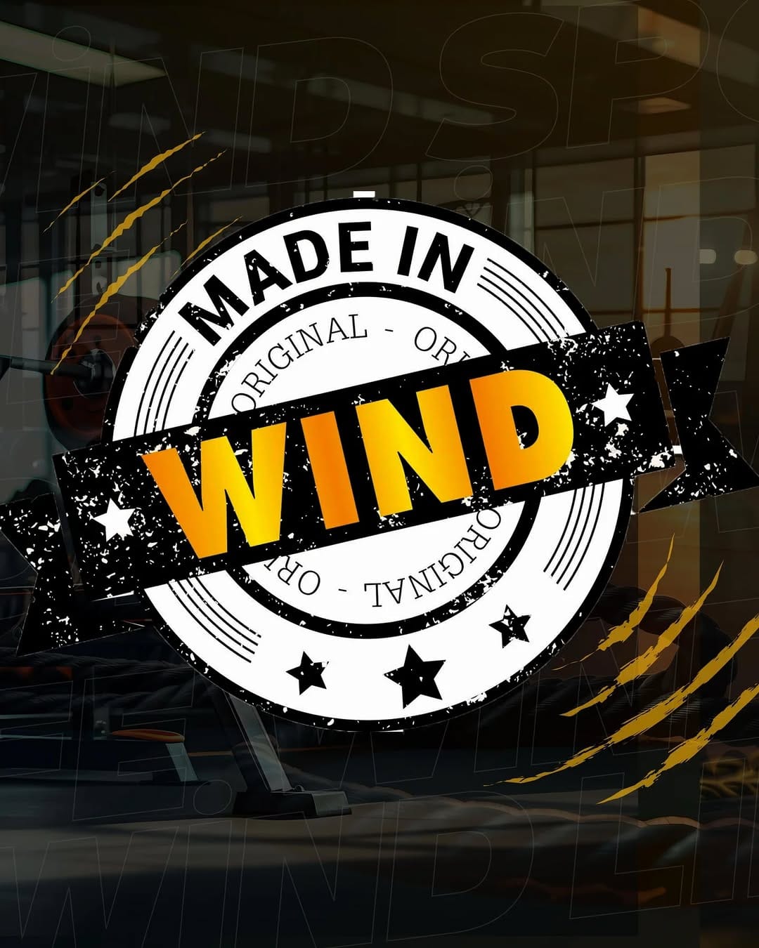 Post 9 by Windsports on Instagram (image)