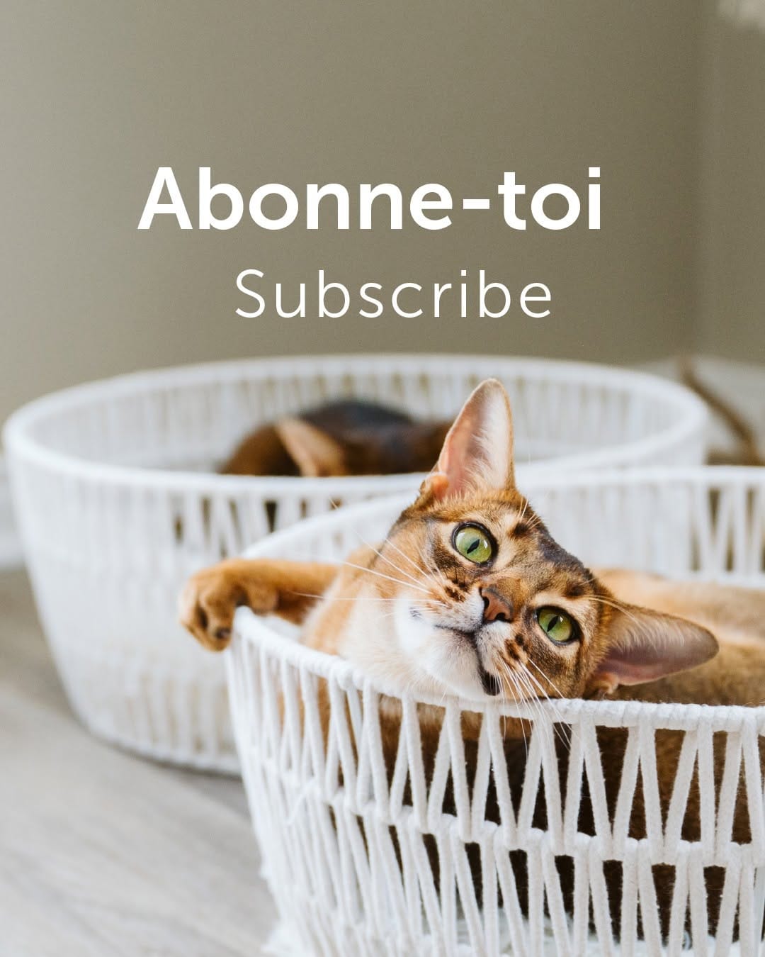 Post 9 by BeOneBreed on Instagram (image)
