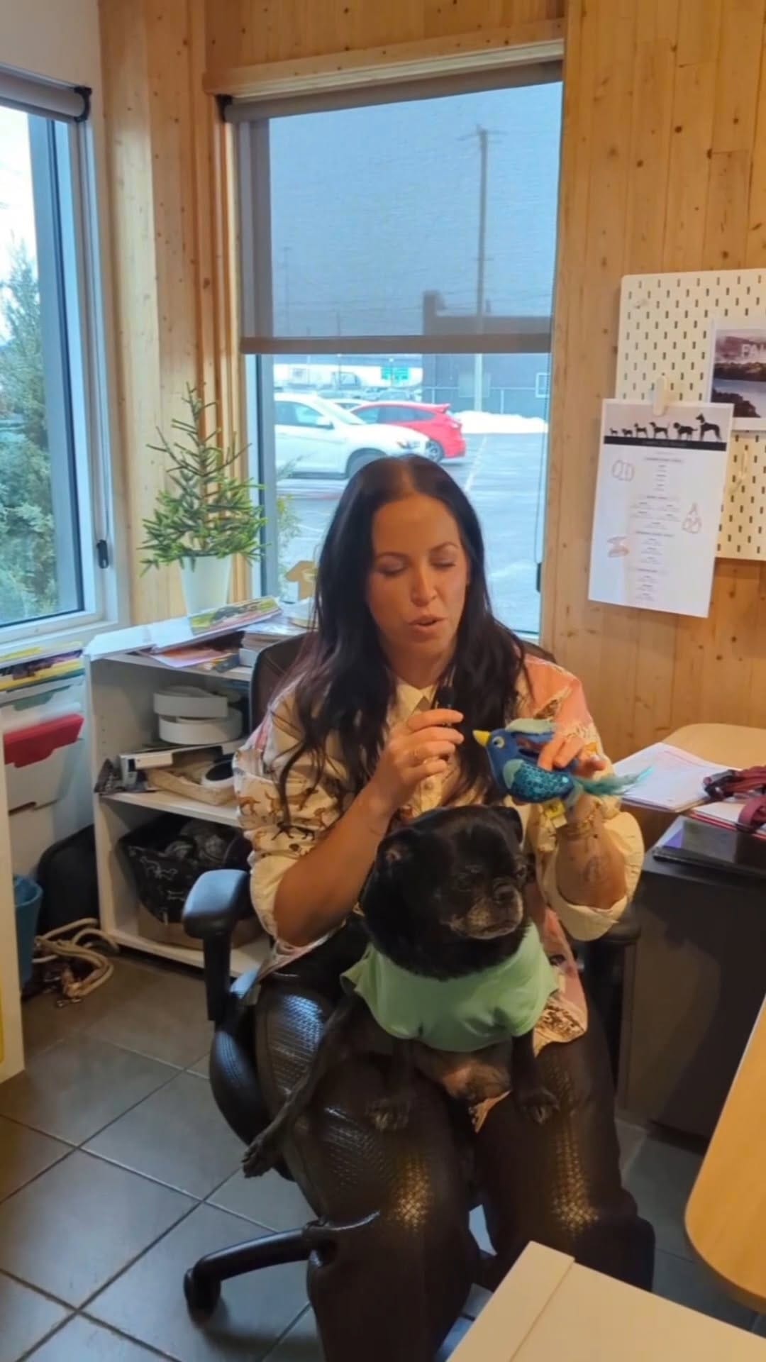 Post 8 by BeOneBreed on Instagram (video)